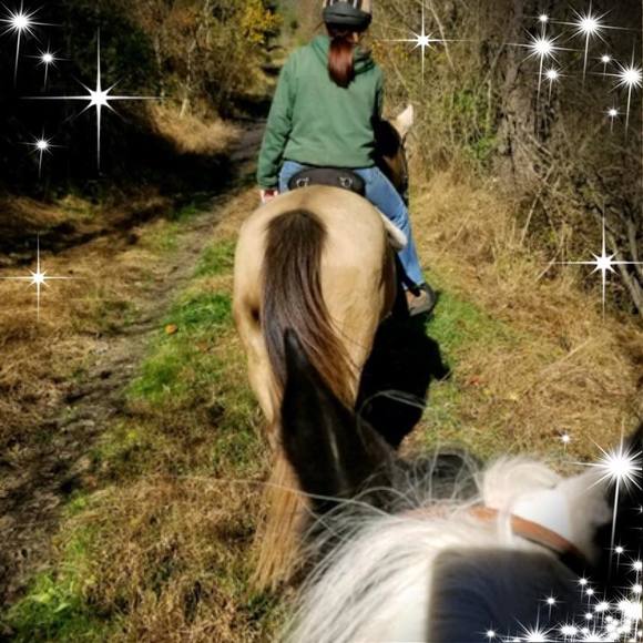 Meet your Posher, Dawn - Picture 1 of 1